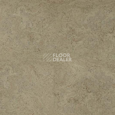 Eco Cork MADEIRA GREY фото 2 | FLOORDEALER