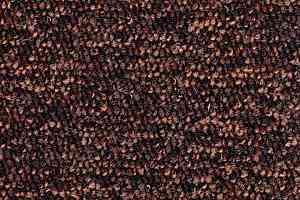 Ковролин Stratos Associated Weavers 87 фото  | FLOORDEALER