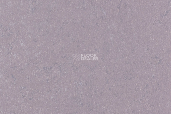 Линолеум Forbo Marmoleum Solid Concrete 3730-373035 Stella фото 1 | FLOORDEALER