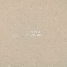 Линолеум Gerflor Colorette 0012 Light Beige фото 1 | FLOORDEALER