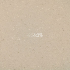 Линолеум Gerflor Colorette 0012 Light Beige фото 1 | FLOORDEALER