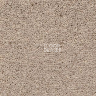 Ковролин AW Souplesse 36 фото 1 | FLOORDEALER