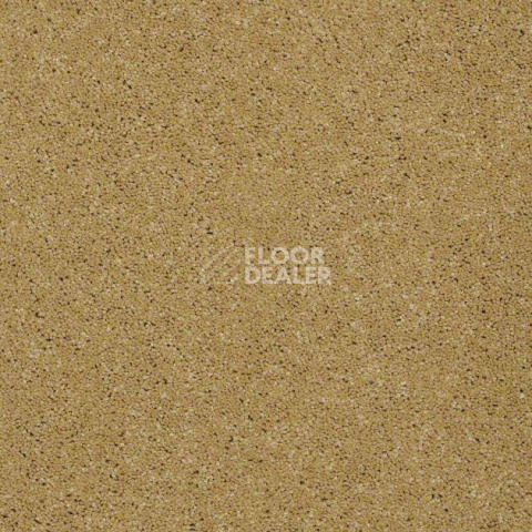 Ковролин Shaw Design Texture Platinum 264 фото 1 | FLOORDEALER