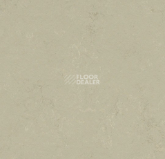 Линолеум Forbo Marmoleum Solid Concrete 3758 shale фото 1 | FLOORDEALER