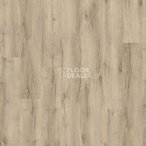 Кварцвиниловые полы Moduleo Next дерево Highland Oak 238 фото 1 | FLOORDEALER
