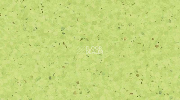 Кварцвиниловые полы  0338_Kiwi фото 1 | FLOORDEALER