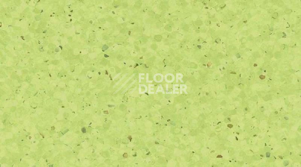 Кварцвиниловые полы  0338_Kiwi фото 1 | FLOORDEALER