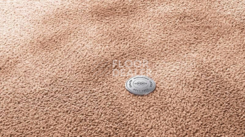 Ковролин Vorwerk Superior 1067 Mira Vorwerk 1n53 фото 1 | FLOORDEALER