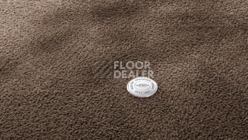 Ковролин Vorwerk Superior 1067 Mira Vorwerk 7g78 фото 1 | FLOORDEALER