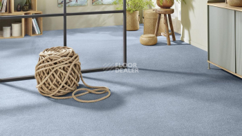 Vorwerk Superior 1065/Viola Vorwerk 3q69 фото 2 | FLOORDEALER