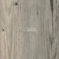 Кварцвиниловые полы AW Invictus Maximus Plank 2.5 мм Norwegian Wood Fjord фото 1 | FLOORDEALER