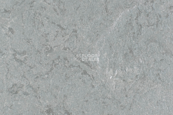 Линолеум Forbo Marmoleum Solid Slate e3745-e374535 Cornish grey фото 1 | FLOORDEALER