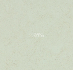 Линолеум Forbo Marmoleum Solid Concrete 3749 Arctic фото 1 | FLOORDEALER
