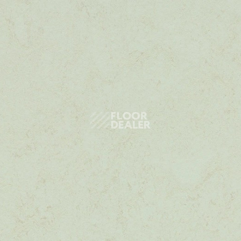 Линолеум Forbo Marmoleum Solid Concrete 3749 Arctic фото 1 | FLOORDEALER