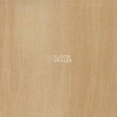 Линолеум Polyflor Kudos 1901 фото 1 | FLOORDEALER