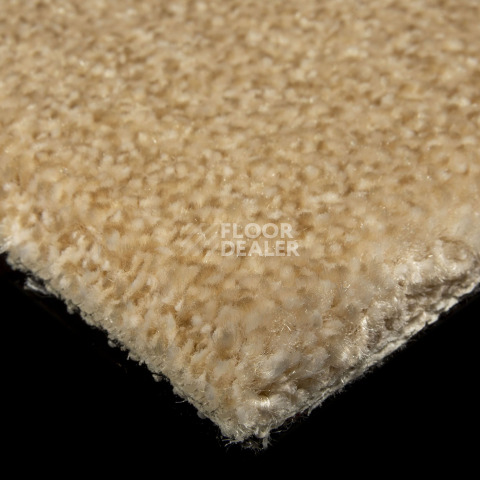 AW Masquerade Moretta 38 фото 5 | FLOORDEALER