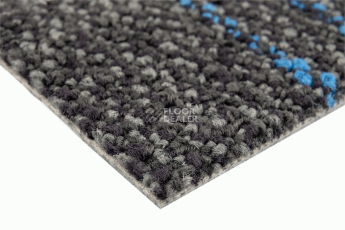 Neuflor City 2009-09 + Sapphire фото 4 | FLOORDEALER