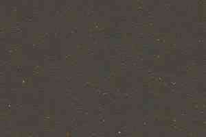 Линолеум Forbo Marmoleum Solid Cocoa 3591 black tea фото  | FLOORDEALER