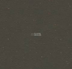 Forbo Marmoleum Solid Cocoa 3591 black tea фото 1 | FLOORDEALER
