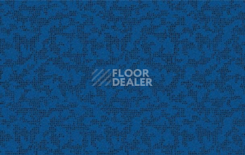 Ковролин Halbmond X-tra 12307 c 20 фото 1 | FLOORDEALER