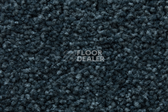 Balsan Serenite 955 фото 4 | FLOORDEALER