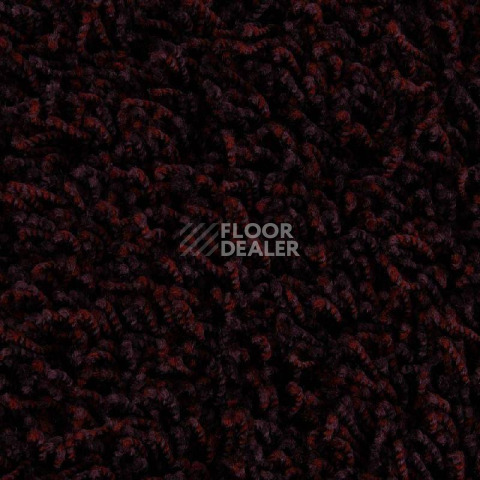 Ковролин Edel Vivaldi 185 фото 1 | FLOORDEALER