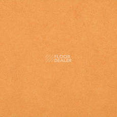 Линолеум Gerflor Taralay Initial Compact (Plain & allover look) 0966 Miami Abricot фото 1 | FLOORDEALER