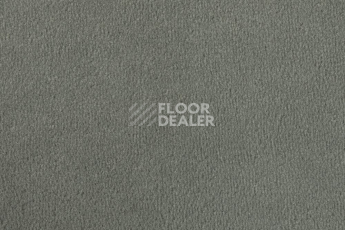 Ковролин Vorwerk Passion 1000/Modena Vorwerk 5b47 фото 1 | FLOORDEALER