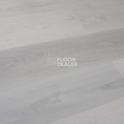 Evofloor Optima Click 4.2мм Дуб Снежный фото 4 | FLOORDEALER
