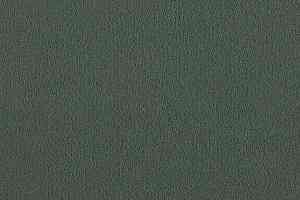 Ковролин Lano Brezina 620 фото  | FLOORDEALER