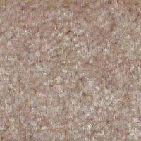 Ковролин Hidden Treasure Beaulie of America Blond Ash 18 фото  | FLOORDEALER
