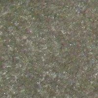 Ковролин Hidden Treasure Beaulie of America Everglades 03 фото  | FLOORDEALER