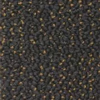 Ковролин Dura Level One 870 фото  | FLOORDEALER